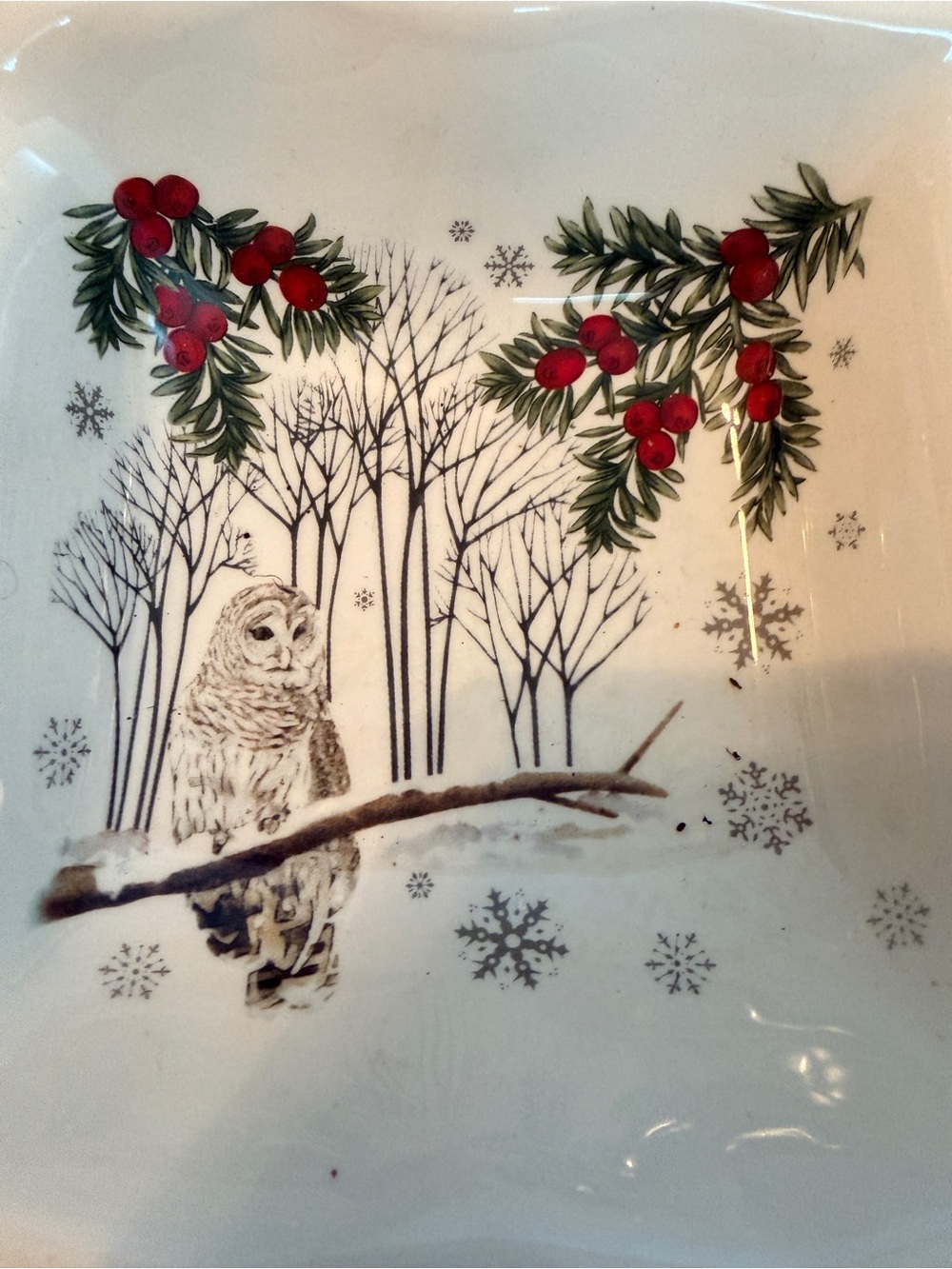 Better Homes & Gardens Heritage 3 Section Divided Server Winter Forest Ironstone - Picture 8 of 11
